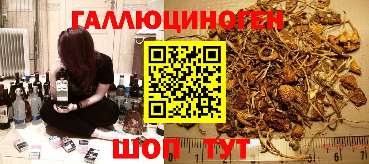 Псилоцибиновые грибы Magic Shrooms  Вход с VPN  как найти закладки  Тихвин 